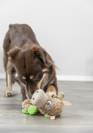 Produktbild Trixie Hunde-Spielzeug Kuh, 50 cm, Beige (Kauspielzeug Hund)