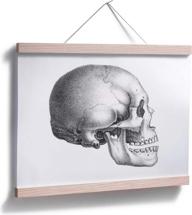 Produktbild Trenddeko Totenschädel 01 (40 x 30 cm)