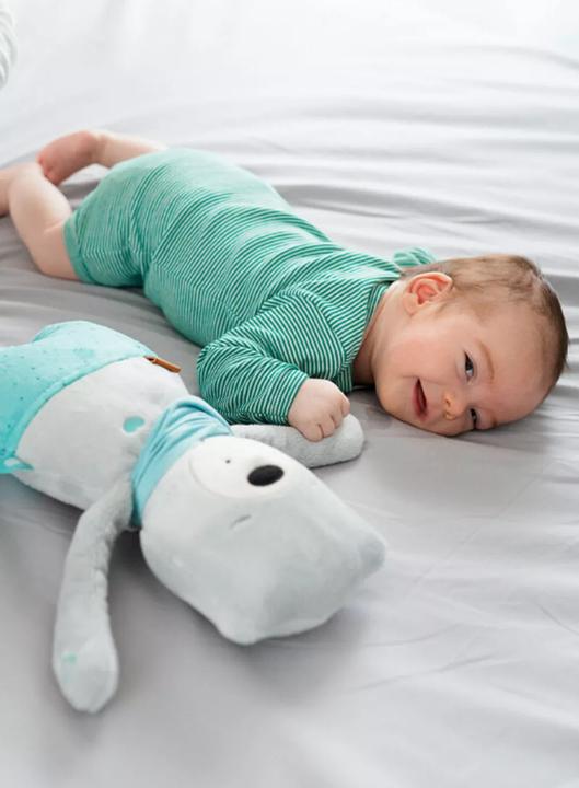 Image du produit MyHummy Premium Plus (24 cm)