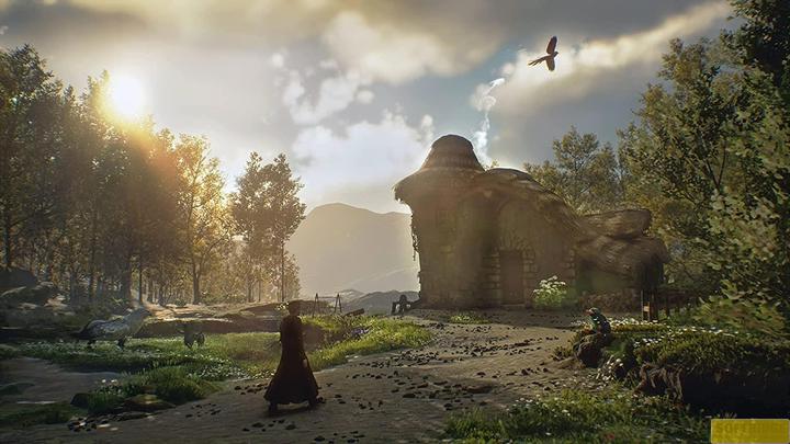 Immagine prodotto WB Hogwarts Legacy (PS4, DE)