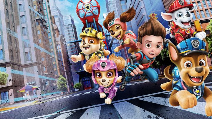 Image du produit Game Paw Patrol : le film (PS4, DE)