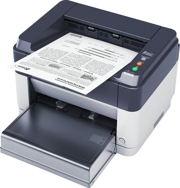 Actual product image Kyocera Fs-1061dn (Laser, Black and white)
