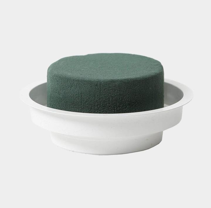Image du produit Oasis Mousse enfichable