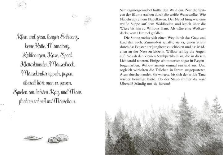 Actual product image Planet Ein Mädchen namens Willow 4: Nebeltanz (German, Simona Ceccarelli, Sabine Bohlmann, 2023)