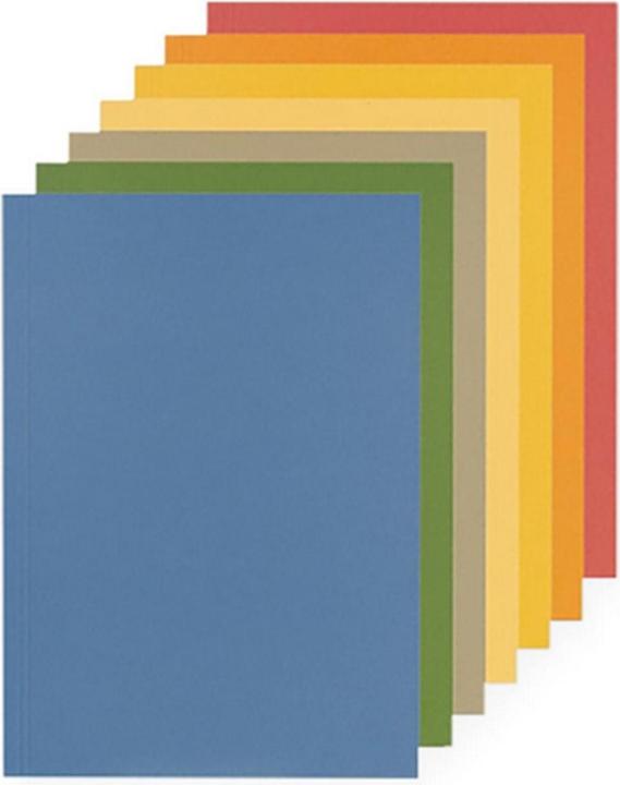 Actual product image Falken File collector (A4, 1 x)