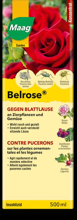 Actual product image Maag Belrose (Aphids)
