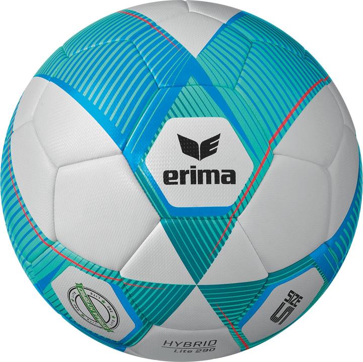 Erima Hybrid Lite 290