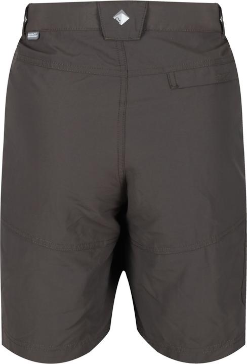 Actual product image Regatta Leesville Ii Shorts Hiking (56)