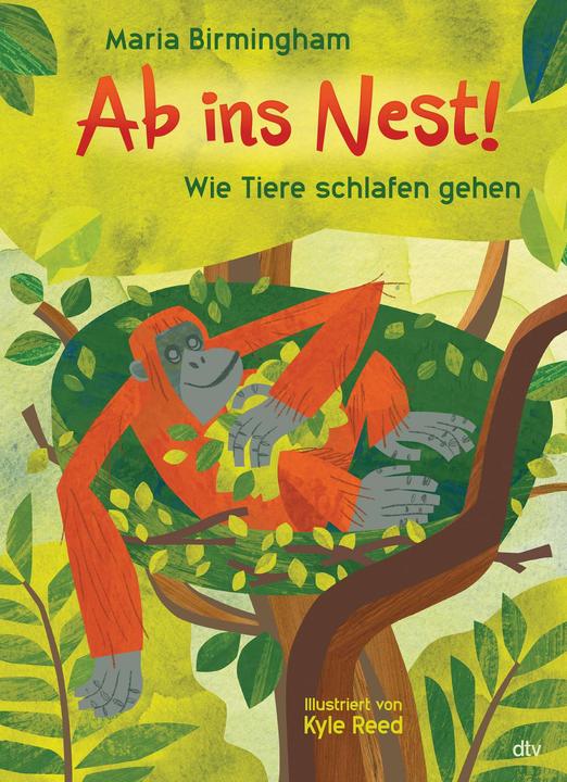 Produktbild Ab ins Nest! – Wie Tiere schlafen gehen (Deutsch, Maria Birmingham, Susanne Schmidt-Wussow, Kyle Reed, 2023)