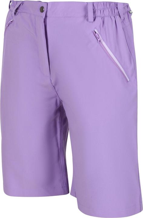 Actual product image Regatta Xert Shorts (42)