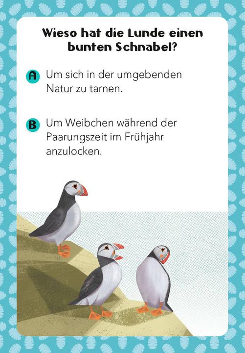 Immagine prodotto National Geographic Quiz sugli animali. 100 domande sugli animali per gli appassionati di quiz e gli amanti degli (Tedesco)