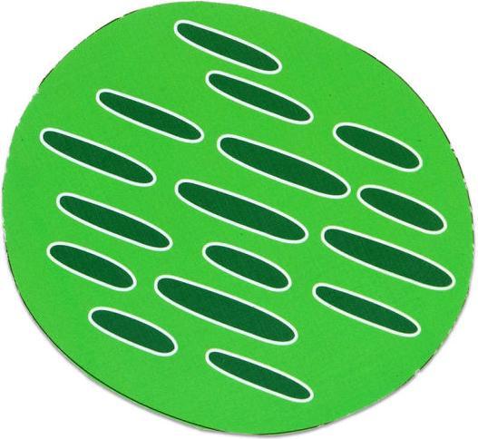 Produktbild Betzold Magnetische pflanzliche Zelle