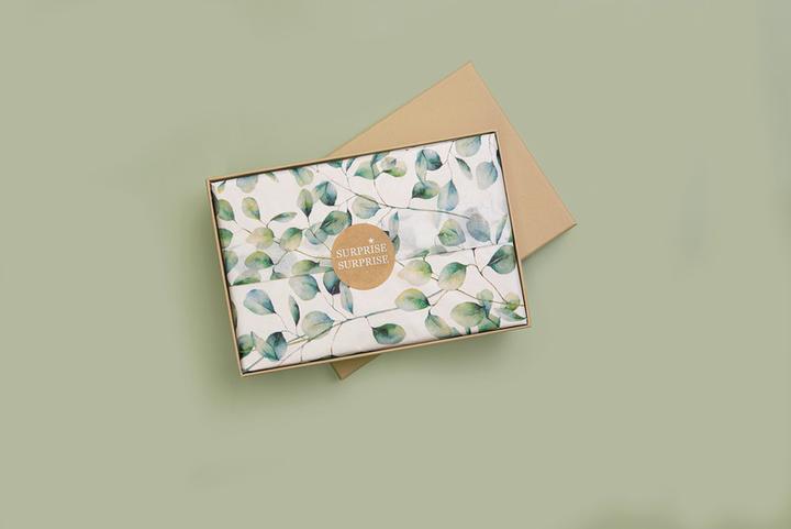 Image du produit Stewo Carta velina con stampa (Papier cadeau, 1 x)