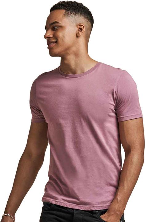 Image du produit Awdis The 100 TShirt (3XL)