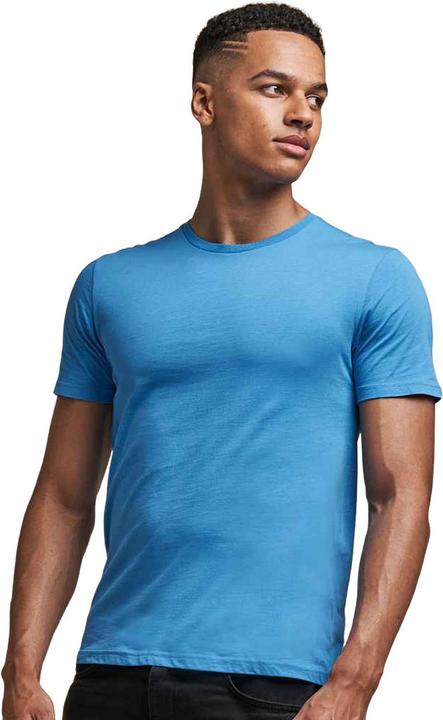 Image du produit Awdis The 100 TShirt (3XL)