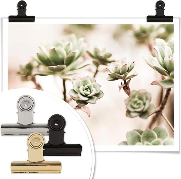 Actual product image Trenddeko Small succulents (40 x 30 cm)