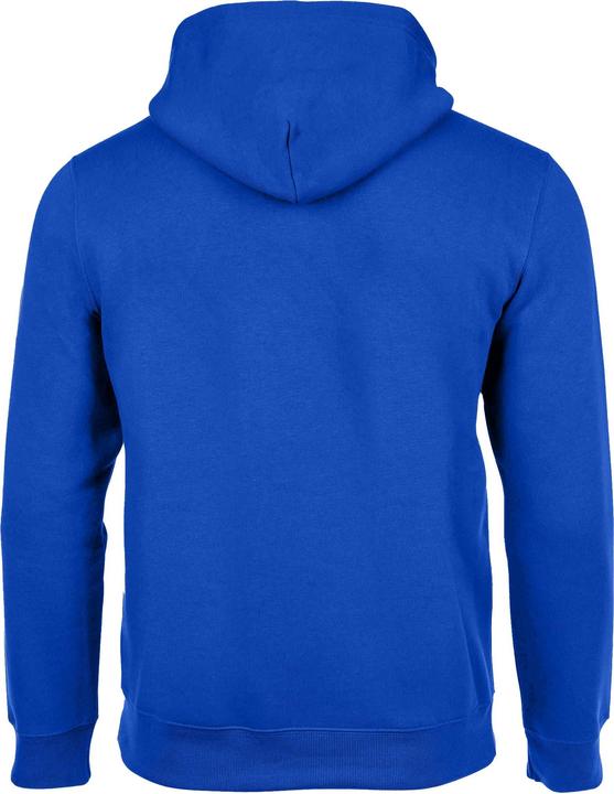 Produktbild Champion Legacy Hoodie (XL)
