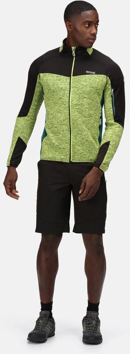 Produktbild Regatta Highton Shorts Wandern (44 D)
