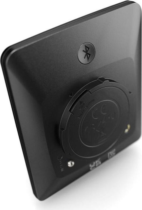 Actual product image Bosch eBike Intuvia 100 (Display)