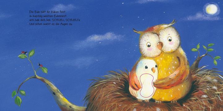 Produktbild Mein Fühlbuch: Wie kleine Tiere schlafen gehen (Deutsch, Anne-Kristin zur Brügge, 2019)