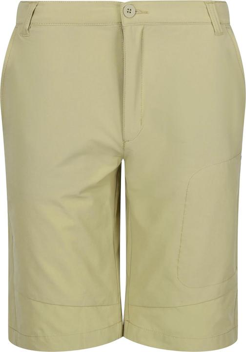 Image du produit Regatta - Short de marche HIGHTON - Homme (44 D)