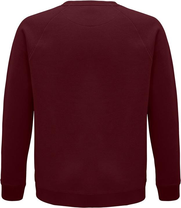Immagine prodotto Sols Felpa Space in cotone organico con maniche raglan (M)