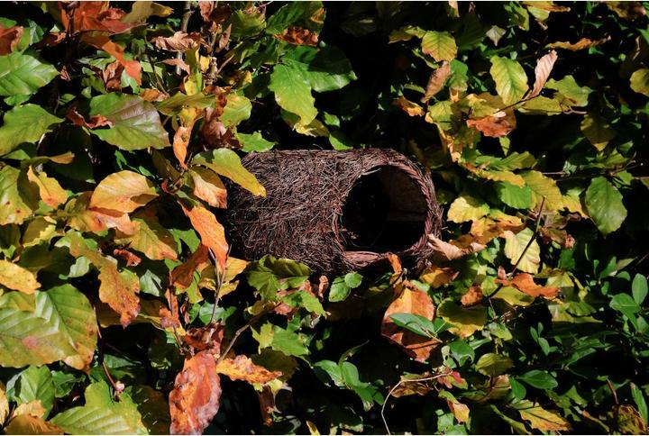Immagine prodotto Wildlife World Cassetta nido