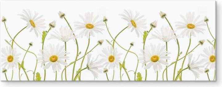 Immagine prodotto Trenddeko Margherite occhio di bue (80 x 30 cm)