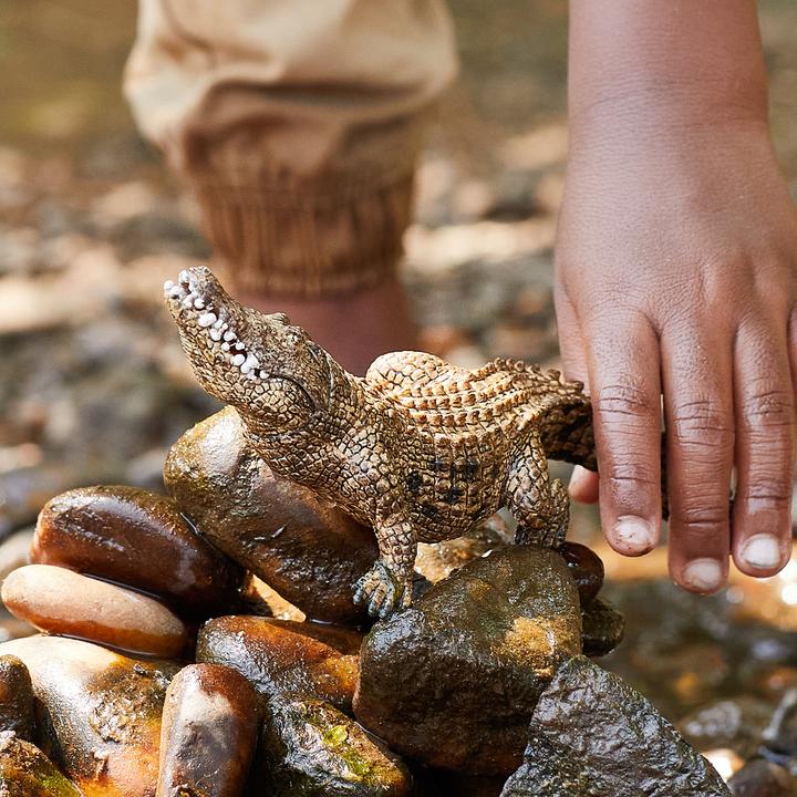 Actual product image Schleich Crocodile