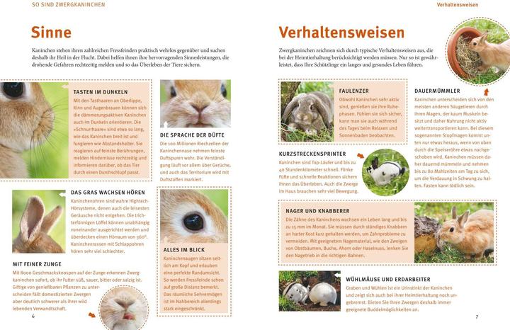 Actual product image Spiel- & Wohnideen Zwergkaninchen (German, Esther Schmidt, 2011)