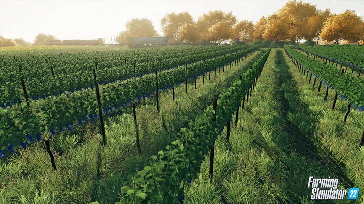 Actual product image Giants Software Farming Simulator 22 (Platinum Edition) (PS4)
