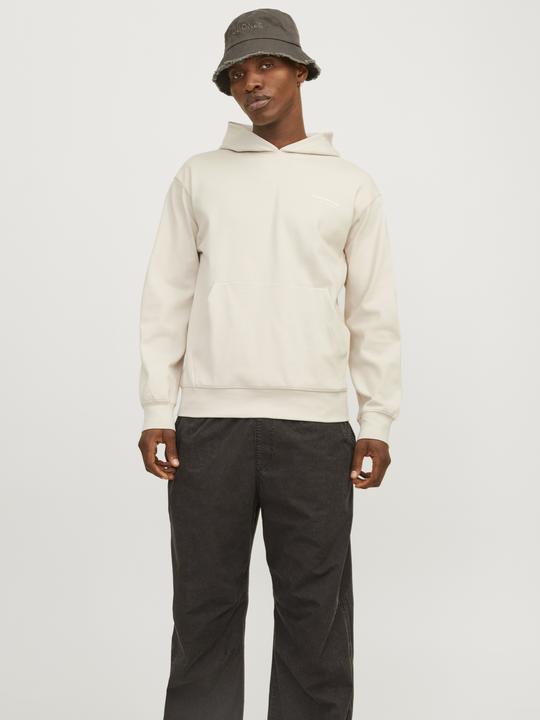 Image du produit Jack & Jones Jcoaero Print Sweat Hood Noos (XL)