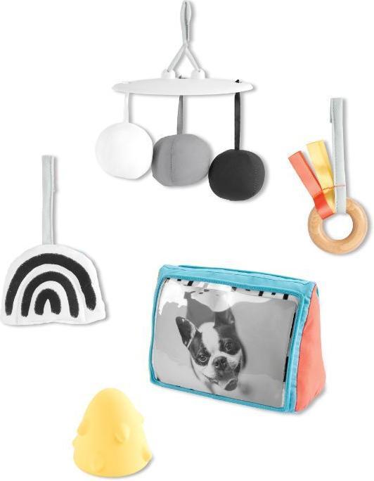 Actual product image Skiphop DISCOVEROSITY Play Gym