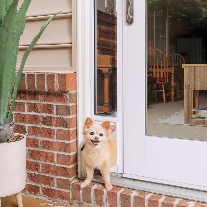 Immagine prodotto PetSafe Porta scorrevole in vetro per gli animali domestici (Gattaiola manuale)