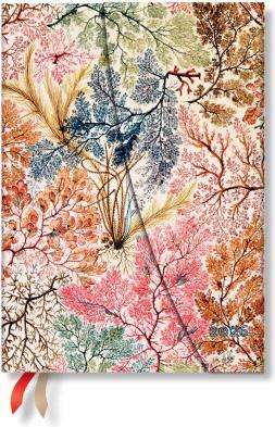Image du produit Paperblanks PAPERBLAN Agenda Anemone 2026 DD0610-8 1W/1S VSO Midi HC DE 13x18cm (13 x 18 cm, Allemand)