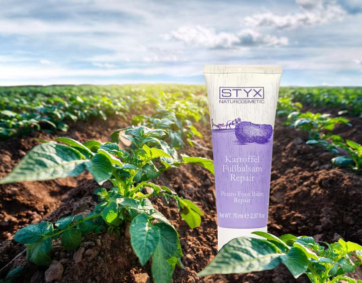 Immagine prodotto Styx Balsamo per piedi di patate riparatore (Pediluvio, 70 ml)