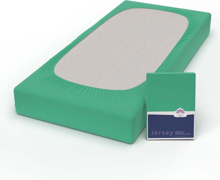 Immagine prodotto Lotus Bettwaren Jersey Fix Comfort (140-160 x 200 cm)