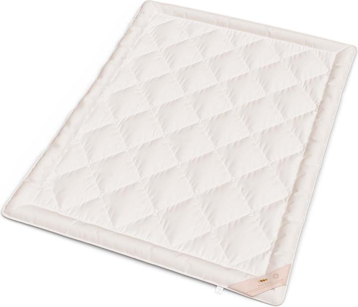 Actual product image Erzstef Allergy Chemnitz (1500 g, 160 x 240 cm)