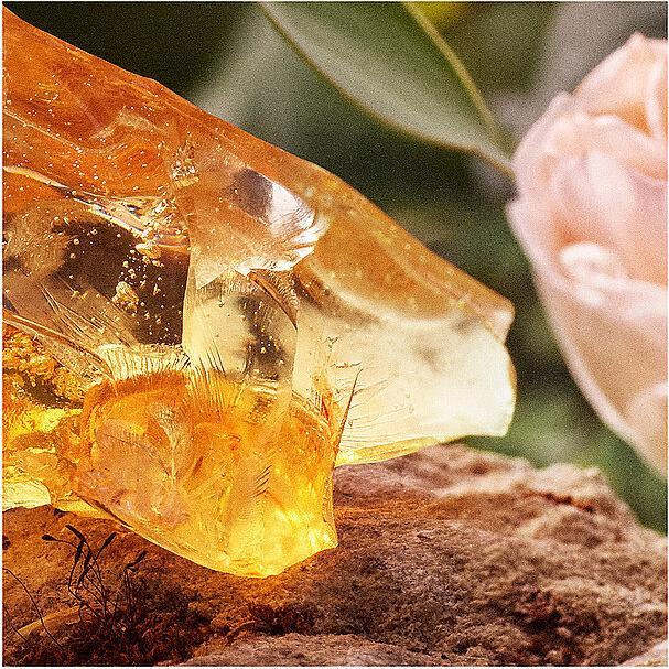 Produktbild Chloé Signature Naturelle Refillable (Eau de Parfum, 150 ml)