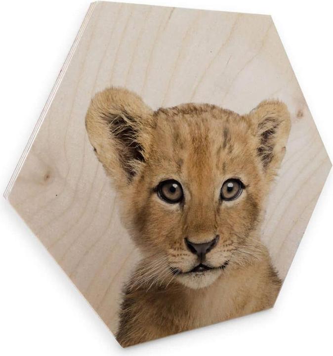 Image du produit Trenddeko Bébé Lion cm (25 x 22 cm)