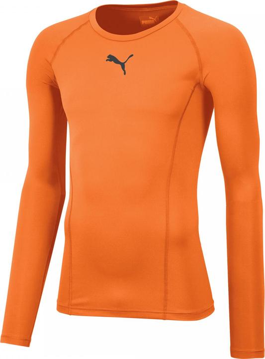 Actual product image Puma LIGA Baselayer Tee LS (L)