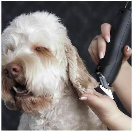 Produktbild Moser Max 50 (Hund, Katze)
