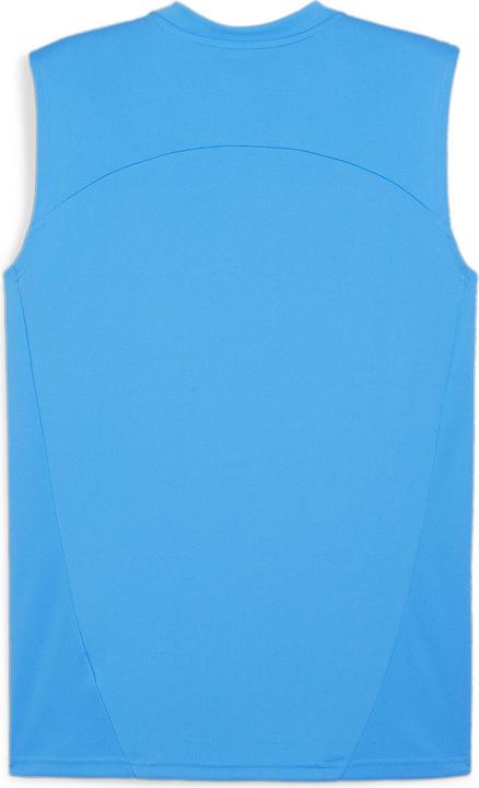 Image du produit Puma teamFINAL Maillot d'entraînement SL (L)