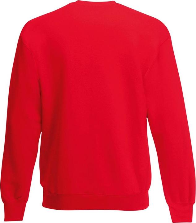 Actual product image Fruit of the Loom Belcoro® yarn pullover sweatshirt (M)