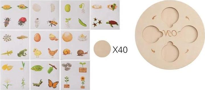 Image du produit Activity Board Jouet en bois pour bébé Animal Life Cycle Cognition Wooden Board Infant Toy Early Educational Baby