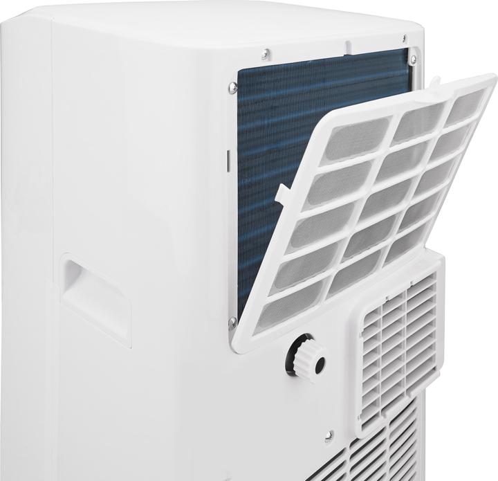 Produktbild Argo Swan Evo (7029.01 BTU/h)