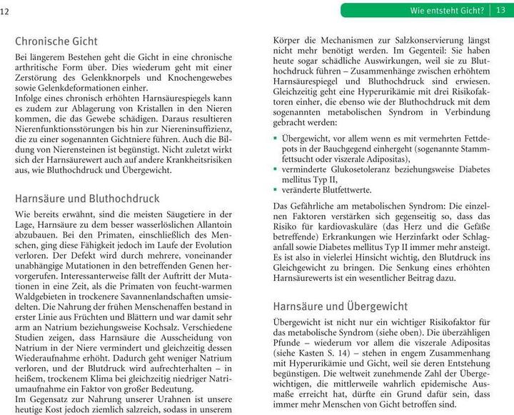 Produktbild Die richtige Ernährung bei Gicht (Deutsch, Ibrahim Elmadfa, 2017)