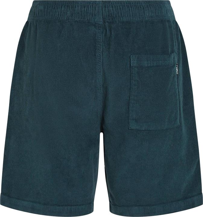 Actual product image O'Neill Cord Shorts (XXL)