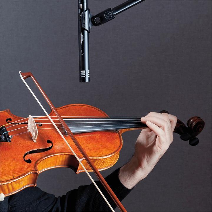 Actual product image Audio-Technica At2031