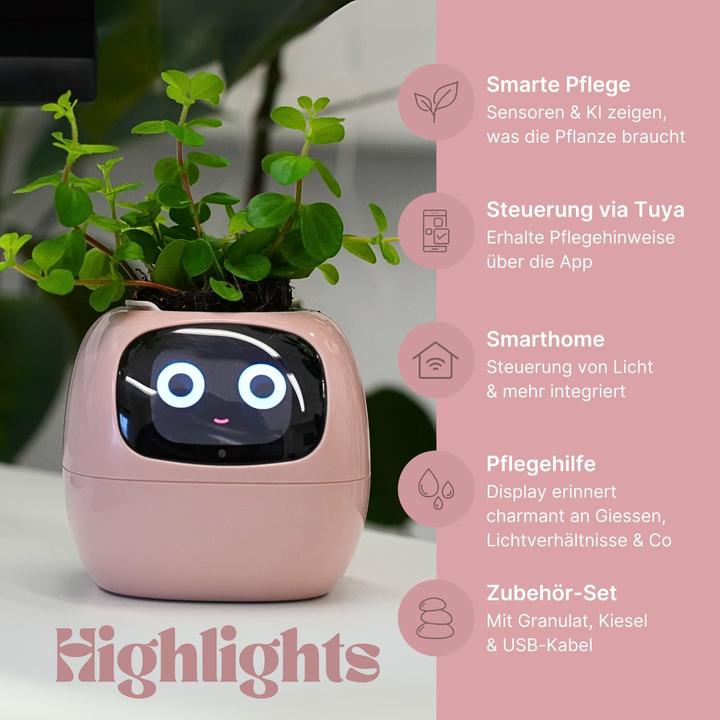 Actual product image Hermex Smart flower pot (11 cm)